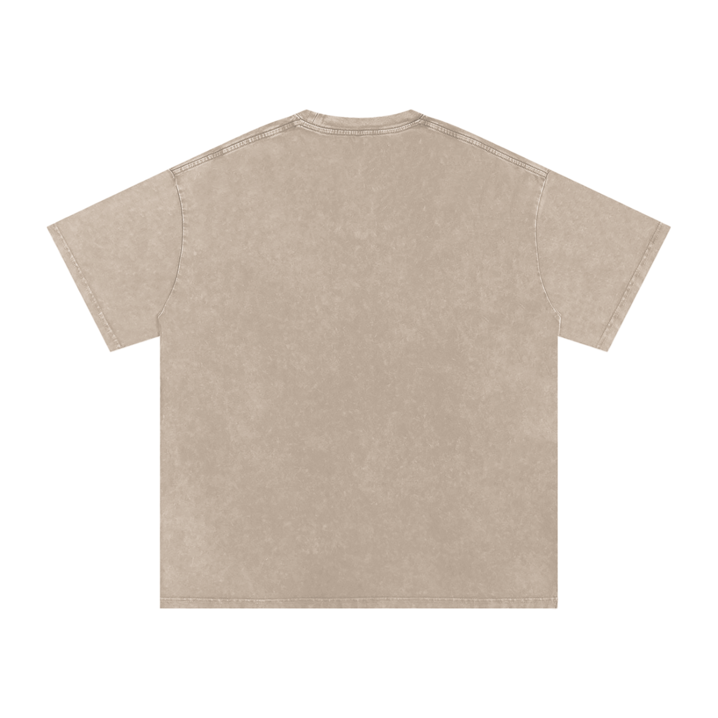 RMNP, Snow Washed Oversized Cotton T-Shirt