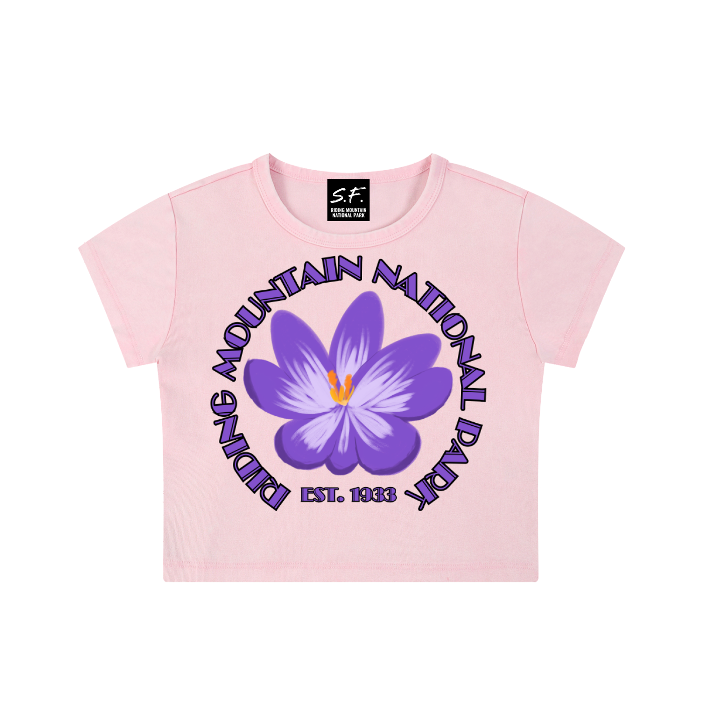 Crocus, Snow Washed Crop Top